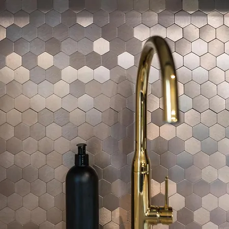 Glivia 66b Apartment Gliwice