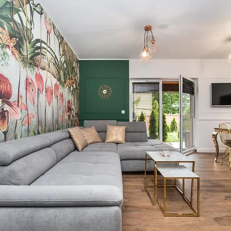 Glivia 66b غليفيتسه